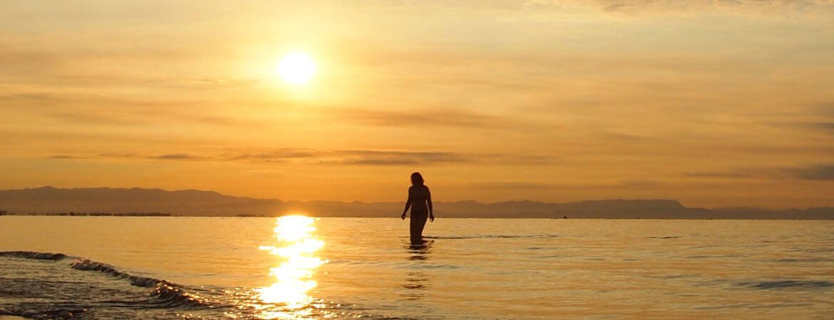 cropped-header-3.jpg